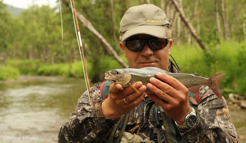 Tam gdzie zaczynają się strumienie.